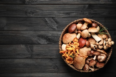 Photo of Different fresh wild mushrooms on black wooden table, top view. Space for text