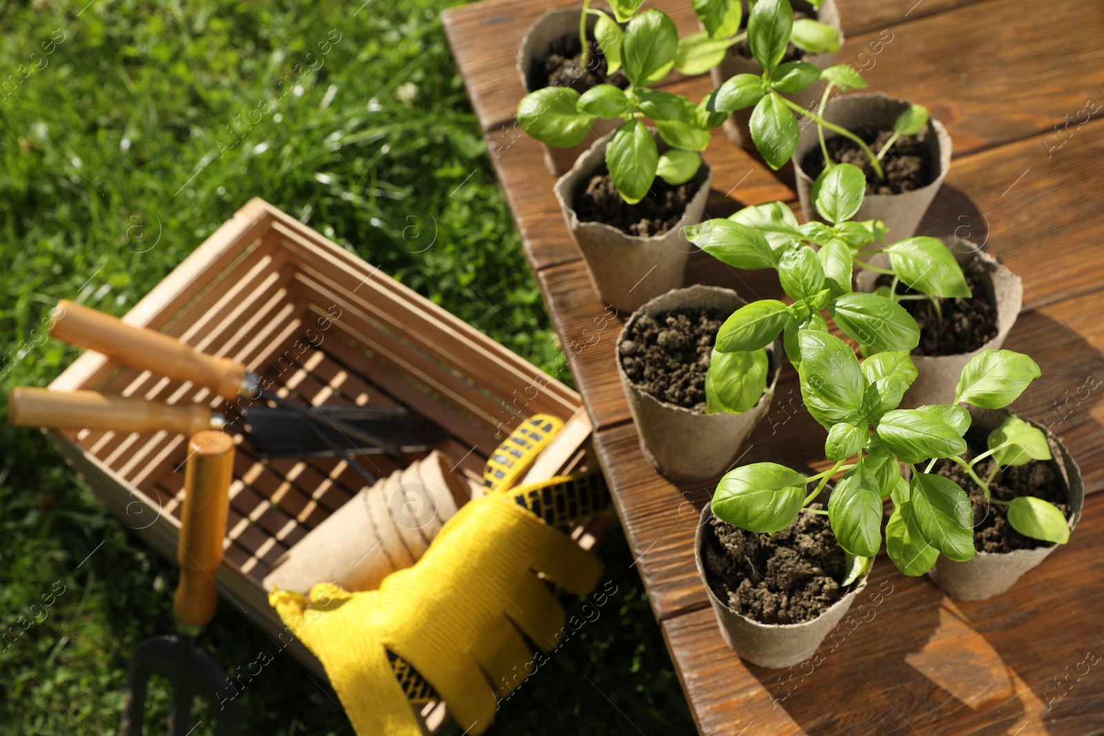 Photo of Beautiful seedlings in peat pots on wooden table and crate with gardening tools outdoors, above view