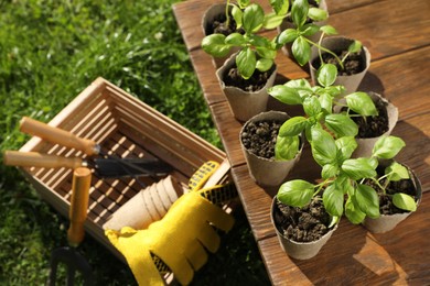 Photo of Beautiful seedlings in peat pots on wooden table and crate with gardening tools outdoors, above view