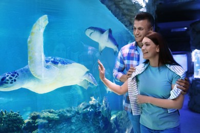 Image of Happy couple near aquarium in oceanarium. Spending time together