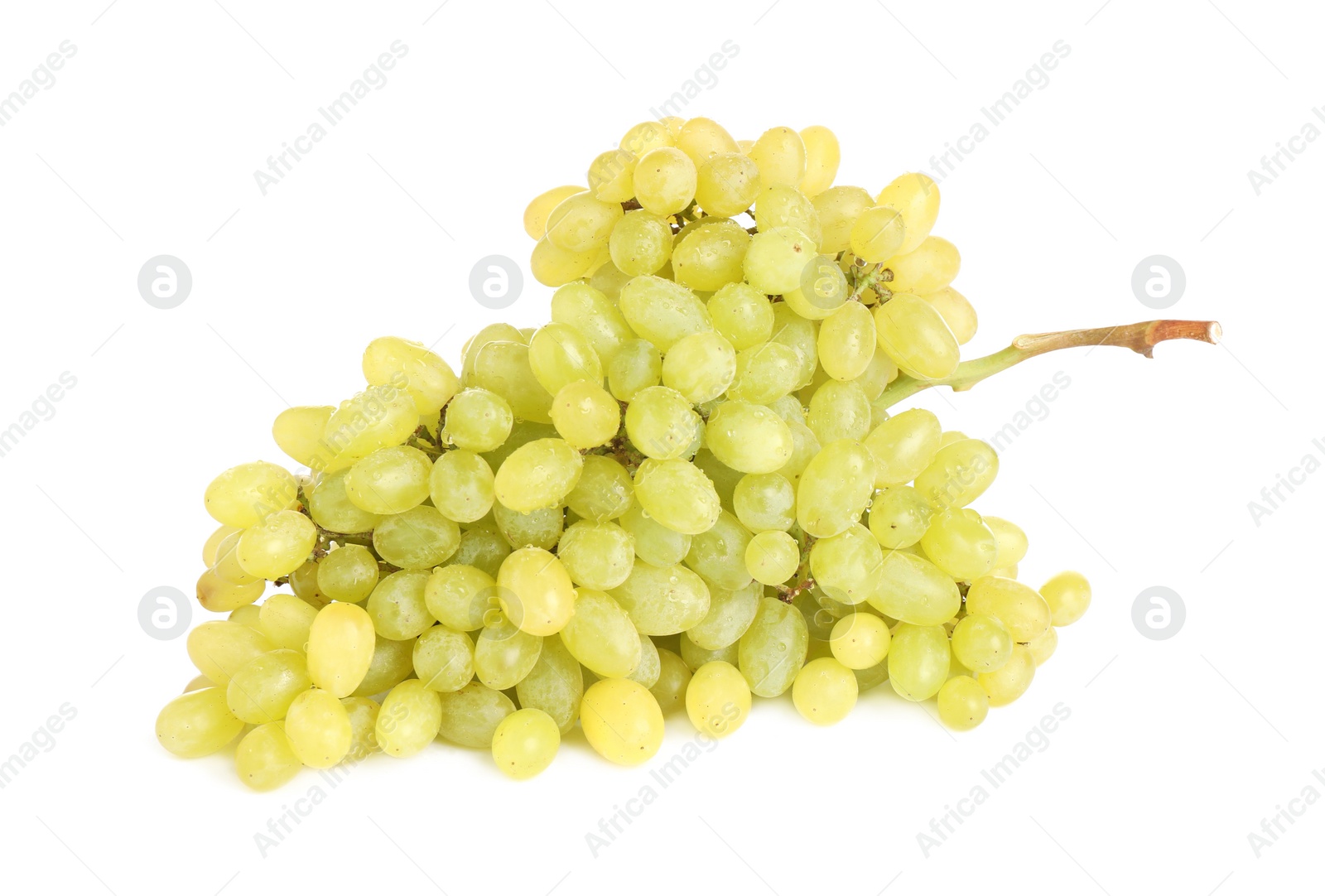 Photo of Bunch of fresh ripe juicy grapes isolated on white