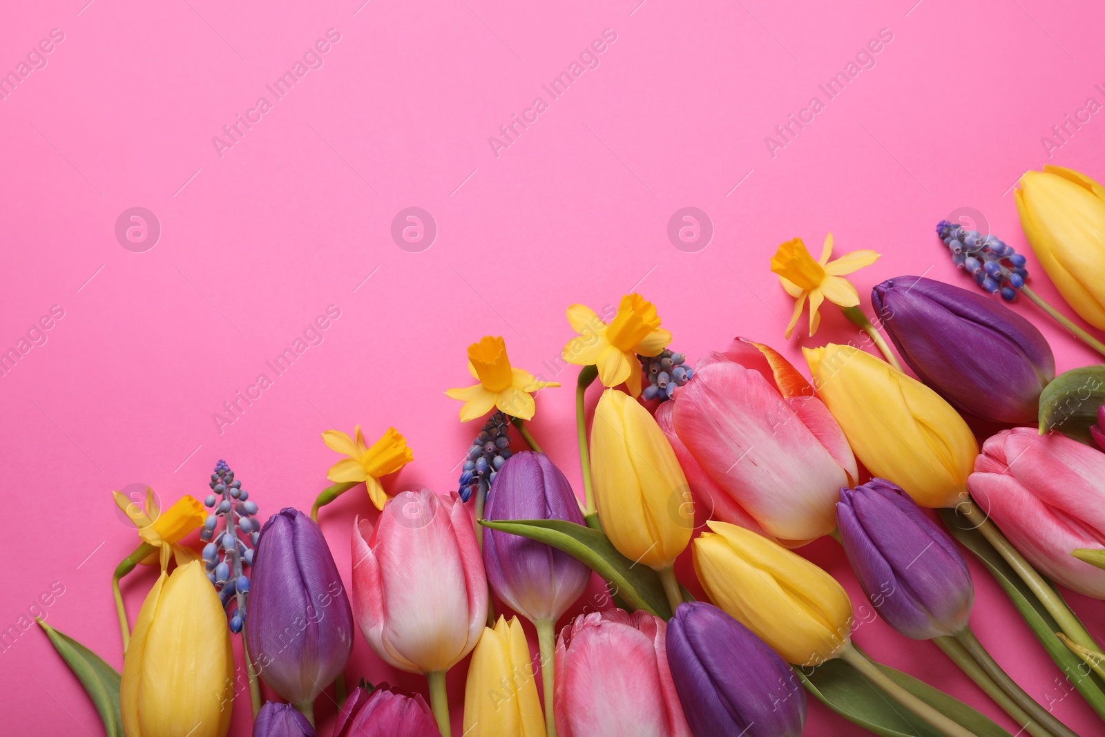 Photo of Beautiful different flowers on pink background, flat lay. Space for text