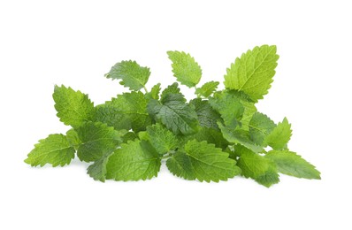 Fresh green lemon balm leaves isolated on white