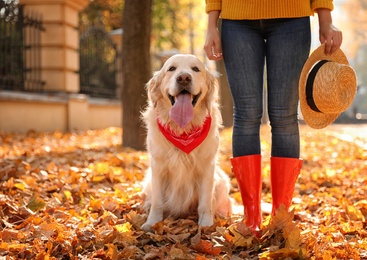 Photo of Woman with Golden retriever in sunny autumn park