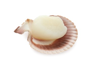 Photo of Fresh raw scallop in shell isolated on white