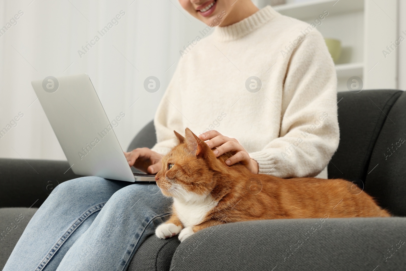 Photo of Woman working with laptop and petting cute cat on sofa at home, closeup