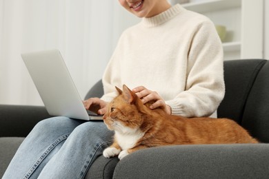 Woman working with laptop and petting cute cat on sofa at home, closeup