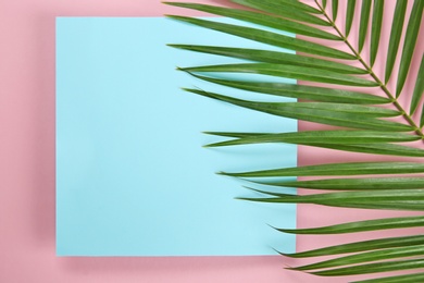 Flat lay composition with tropical leaves on color background