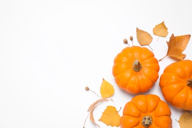 Photo of Composition with pumpkins and autumn leaves on white background, top view