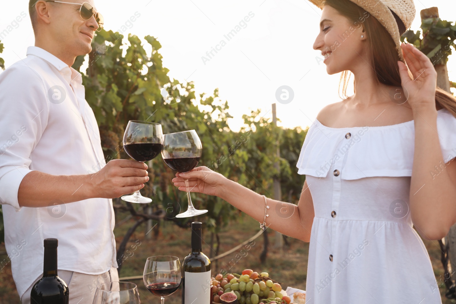 Photo of Couple with glasses of wine in vineyard on sunny day