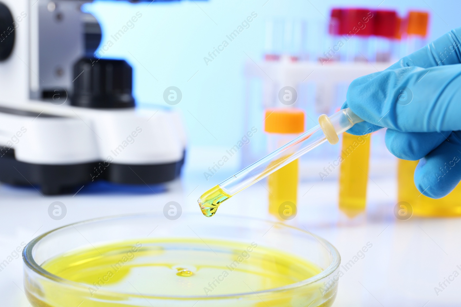 Photo of Laboratory assistant dripping urine sample for analysis from pipette into petri dish on table, closeup