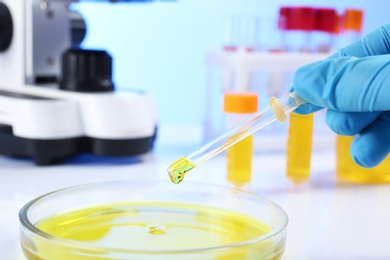 Laboratory assistant dripping urine sample for analysis from pipette into petri dish on table, closeup