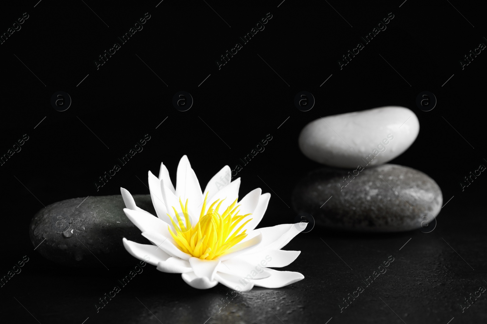 Photo of Stones and lotus flower on black table. Zen lifestyle