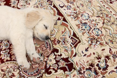 Photo of Cute little puppy sleeping on carpet, top view. Space for text