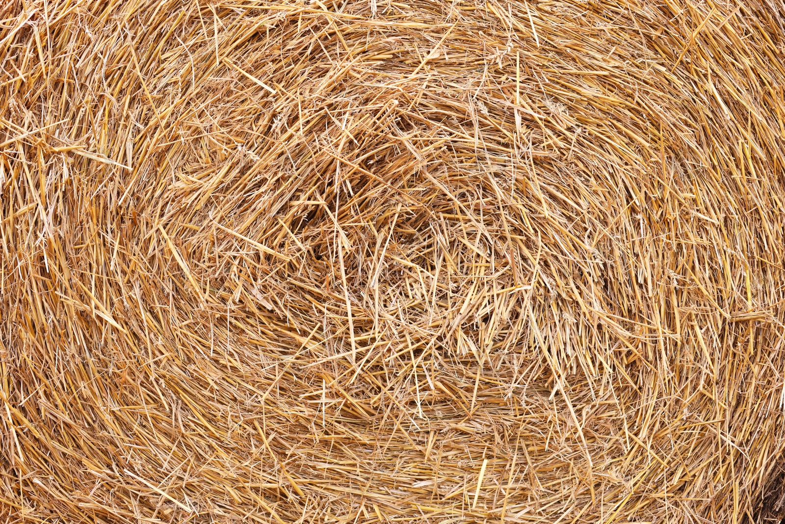 Photo of Hay bale roll as background, closeup view