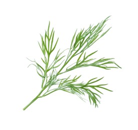 Photo of One sprig of fresh dill isolated on white