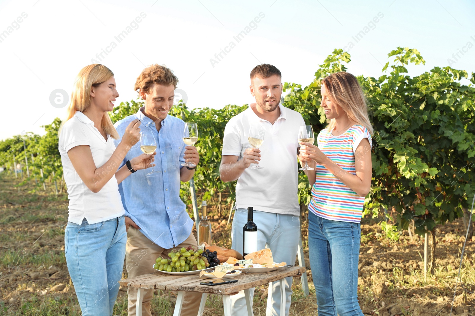 Photo of Friends holding glasses of wine and having fun on vineyard picnic