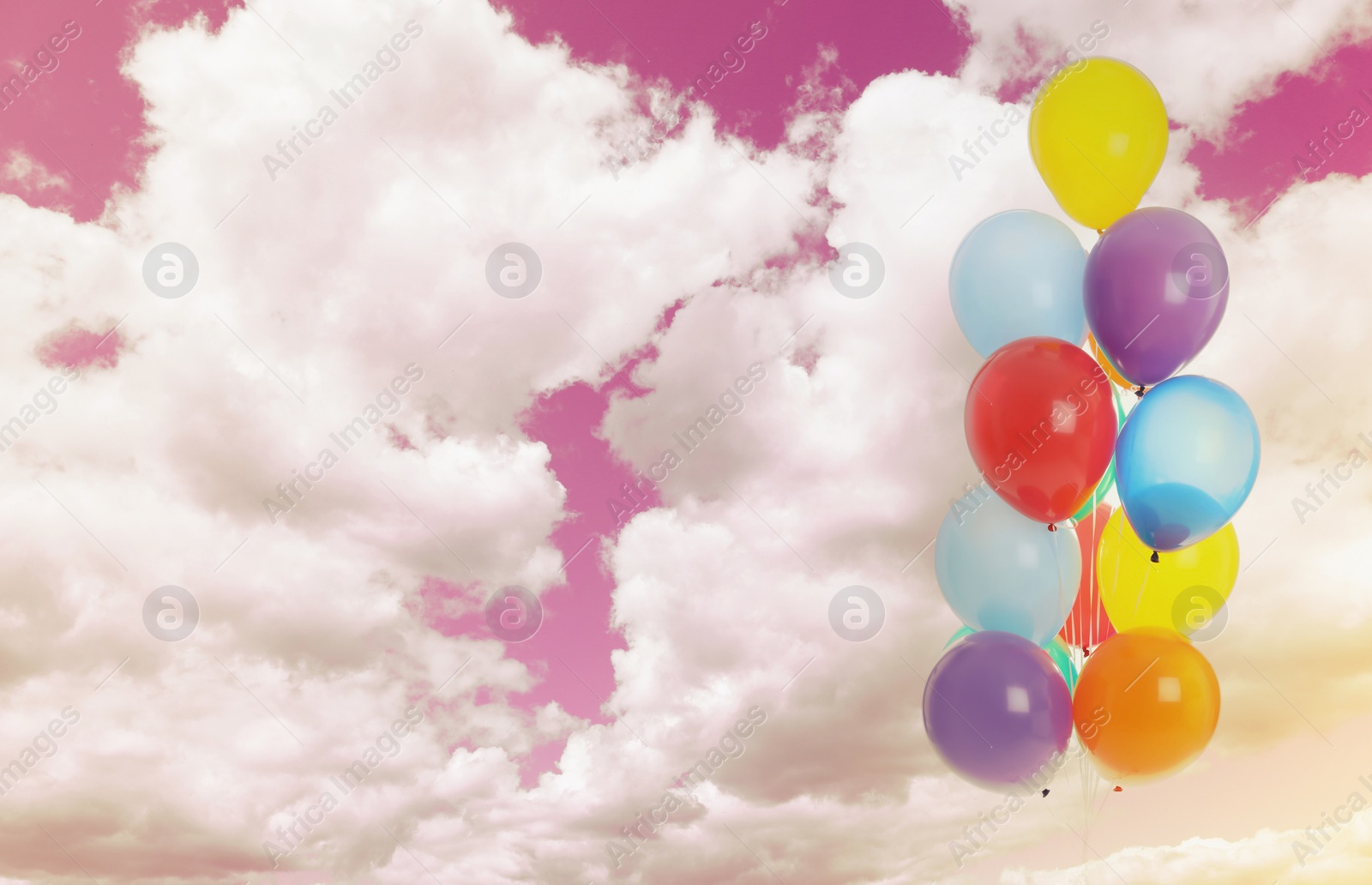 Image of Colorful balloons flying in pink sky with clouds, color toned. Space for text