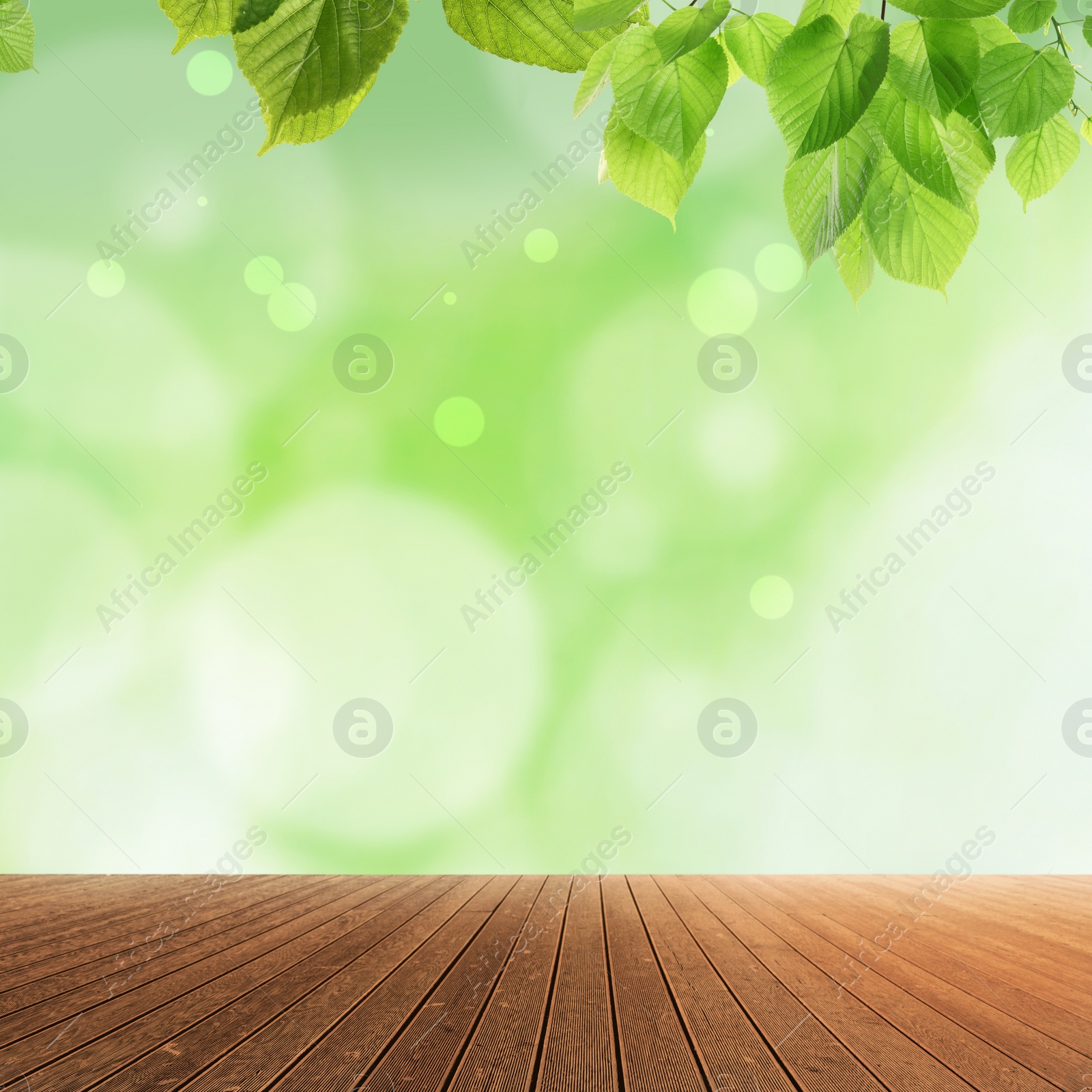 Image of Empty wooden surface and beautiful green leaves on blurred background. Bokeh effect