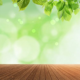 Image of Empty wooden surface and beautiful green leaves on blurred background. Bokeh effect