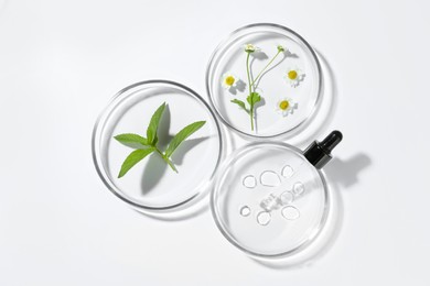 Photo of Petri dishes with different plants and cosmetic product on white background, top view