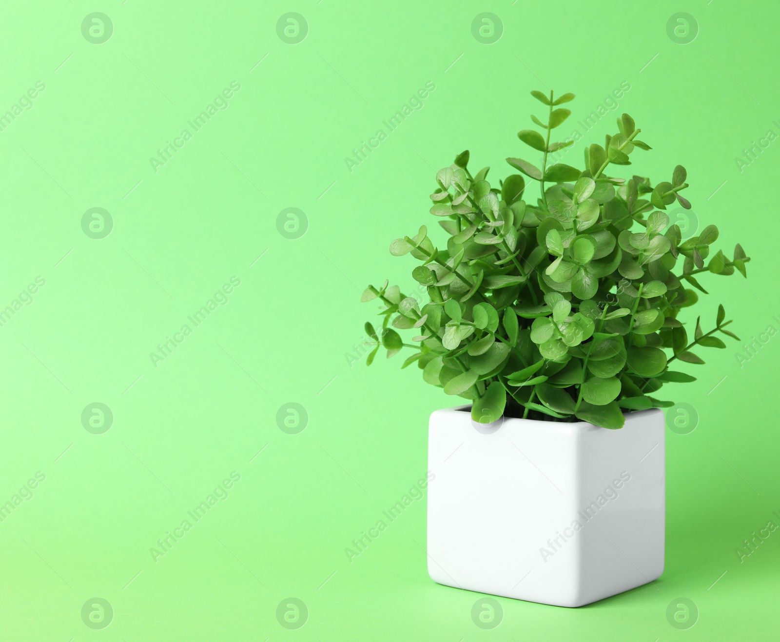 Photo of Beautiful artificial plant in flower pot on green background, space for text