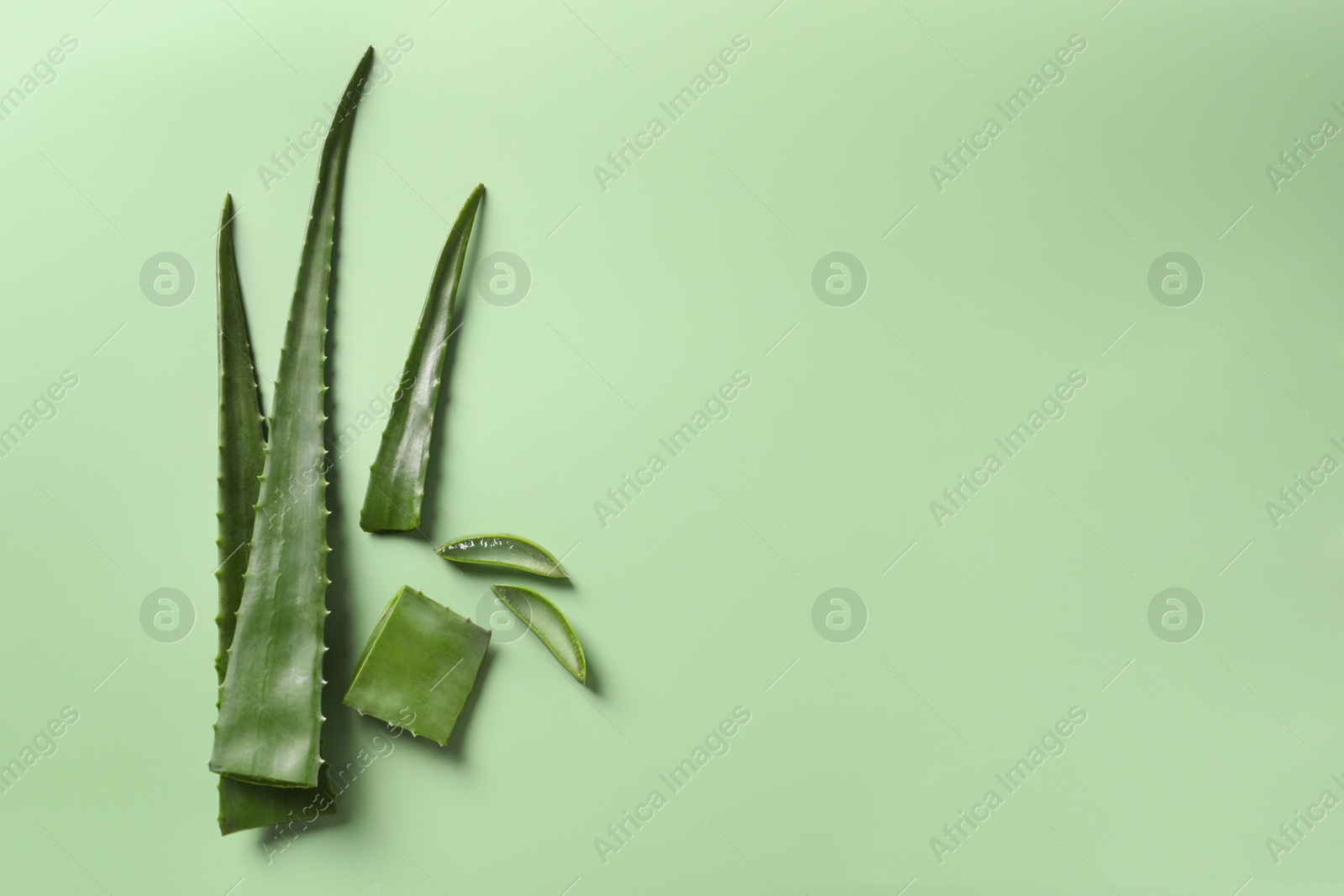 Photo of Cut aloe vera plant on light green background, flat lay. Space for text