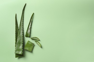 Cut aloe vera plant on light green background, flat lay. Space for text