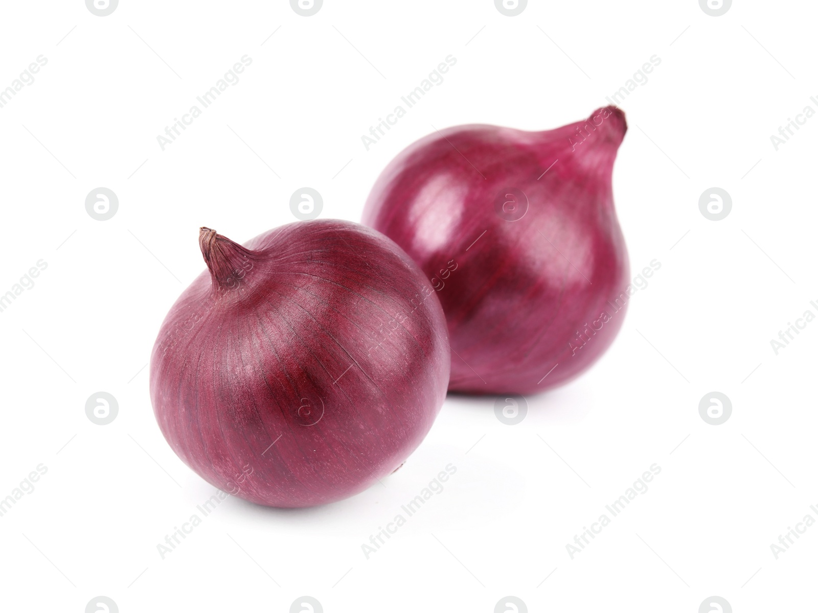 Photo of Fresh whole red onions on white background