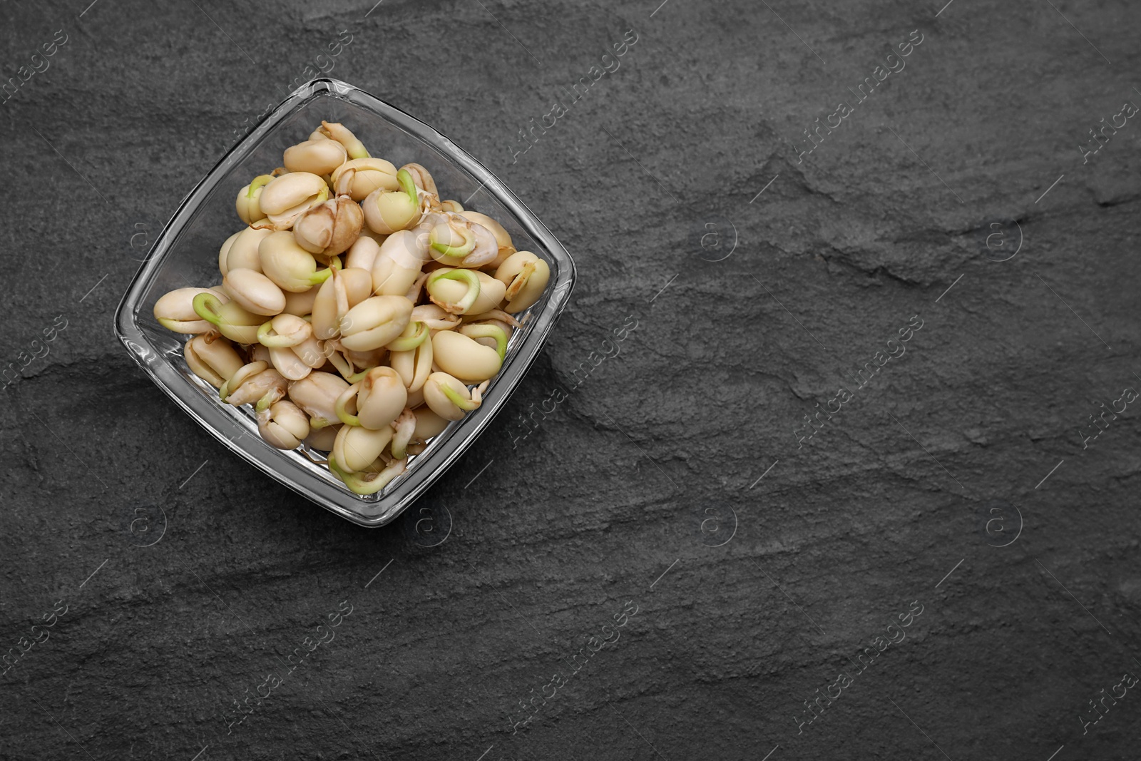 Photo of Sprouted kidney beans in bowl on black table, top view. Space for text