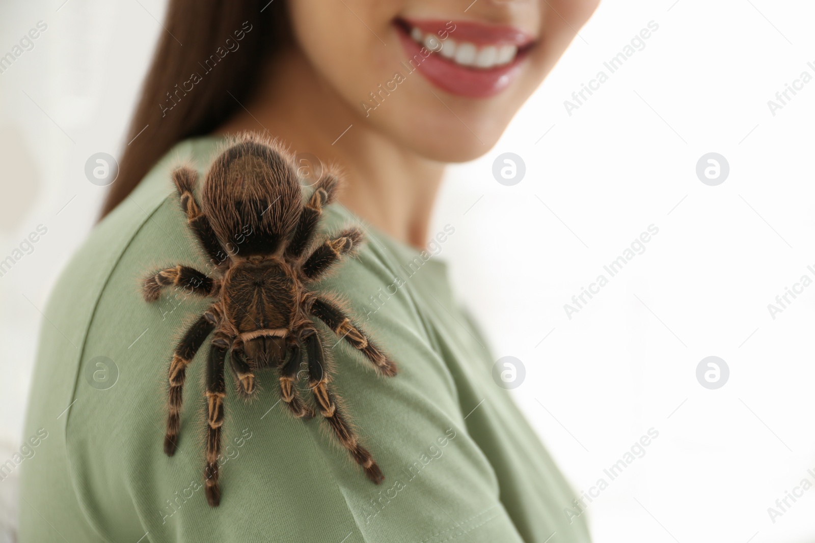 Photo of Woman with striped knee tarantula at home, closeup. Exotic pet