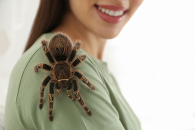 Photo of Woman with striped knee tarantula at home, closeup. Exotic pet