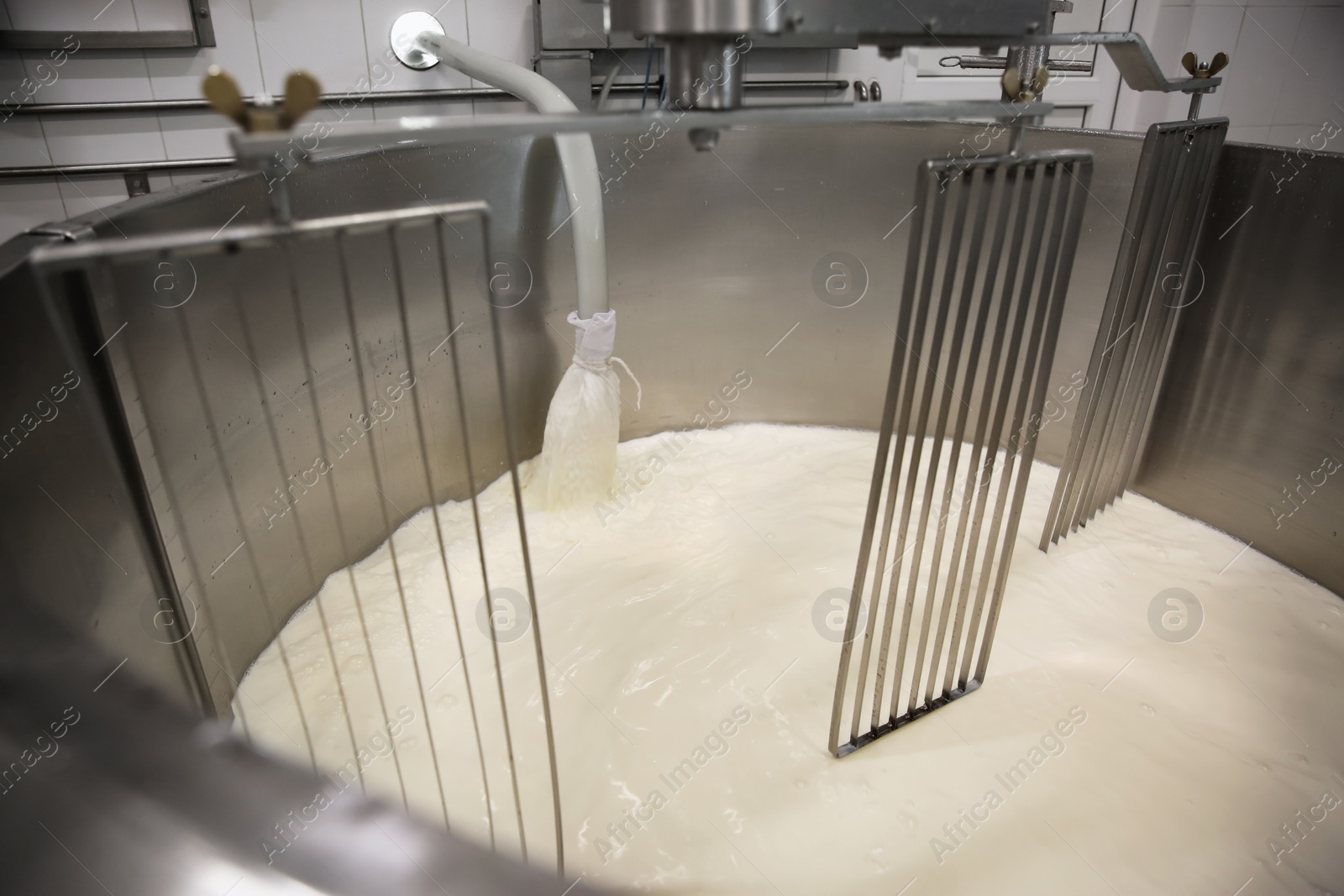 Photo of Pouring milk into curd preparation tank at cheese factory