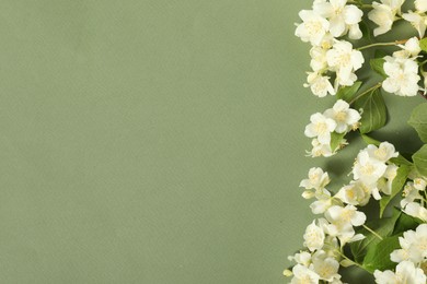 Beautiful jasmine flowers and leaves on pale green background, flat lay. Space for text