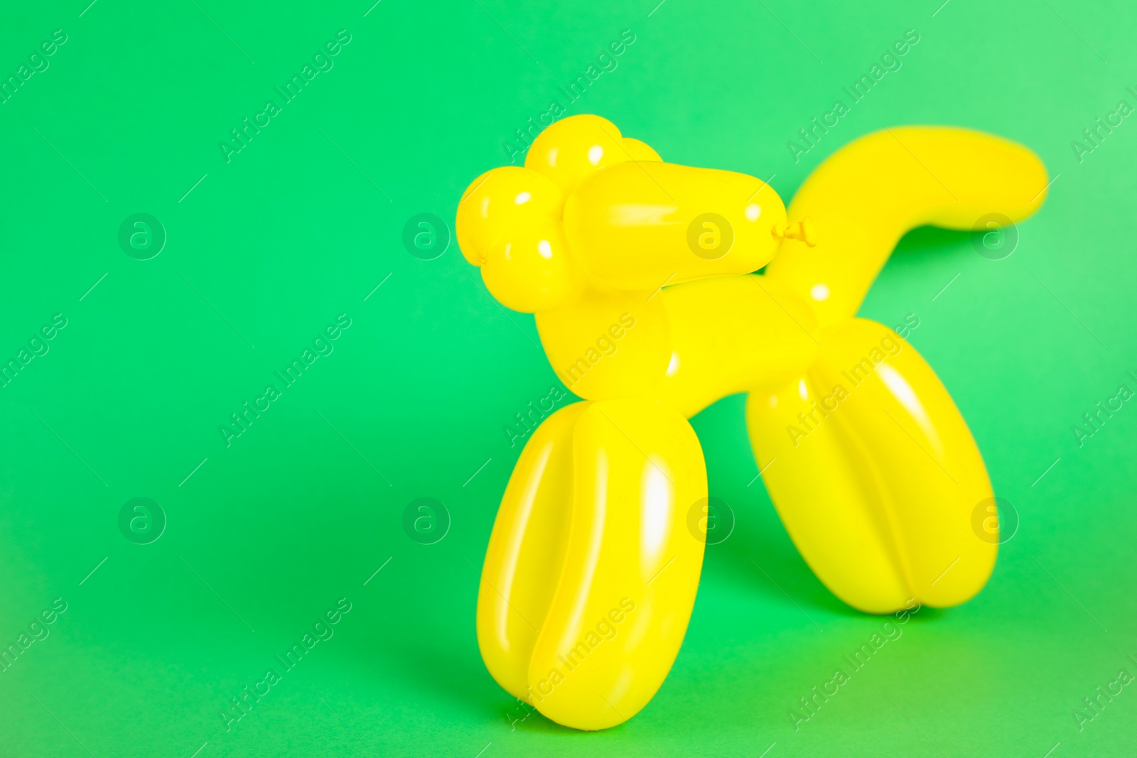 Photo of Animal figure made of modelling balloon on color background. Space for text
