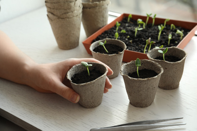 Woman holding pot with seedling at white wooden table, closeup