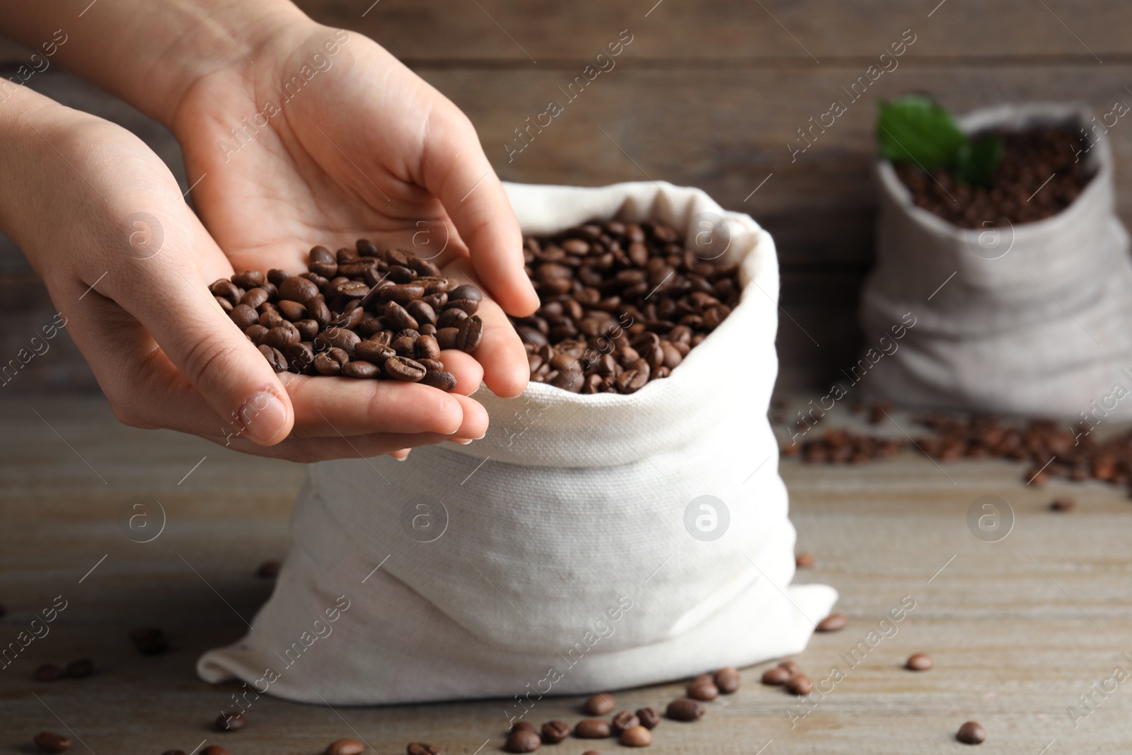 Photo of Woman taking roasted coffee beans from bag at wooden table, closeup. Space for text