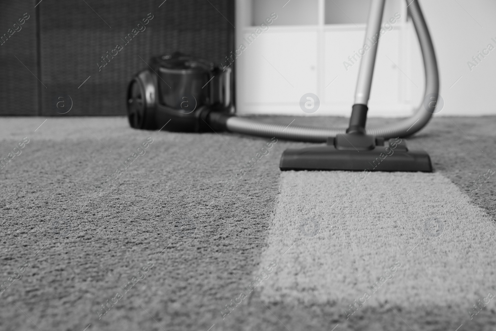 Photo of Modern vacuum cleaner on carpet. Space for text