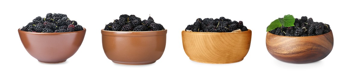 Set with bowls of fresh ripe black mulberries on white background. Banner design