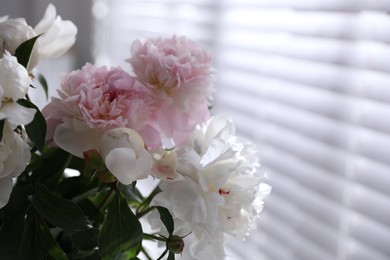 Bouquet of beautiful peony flowers on blurred background, closeup. Space for text