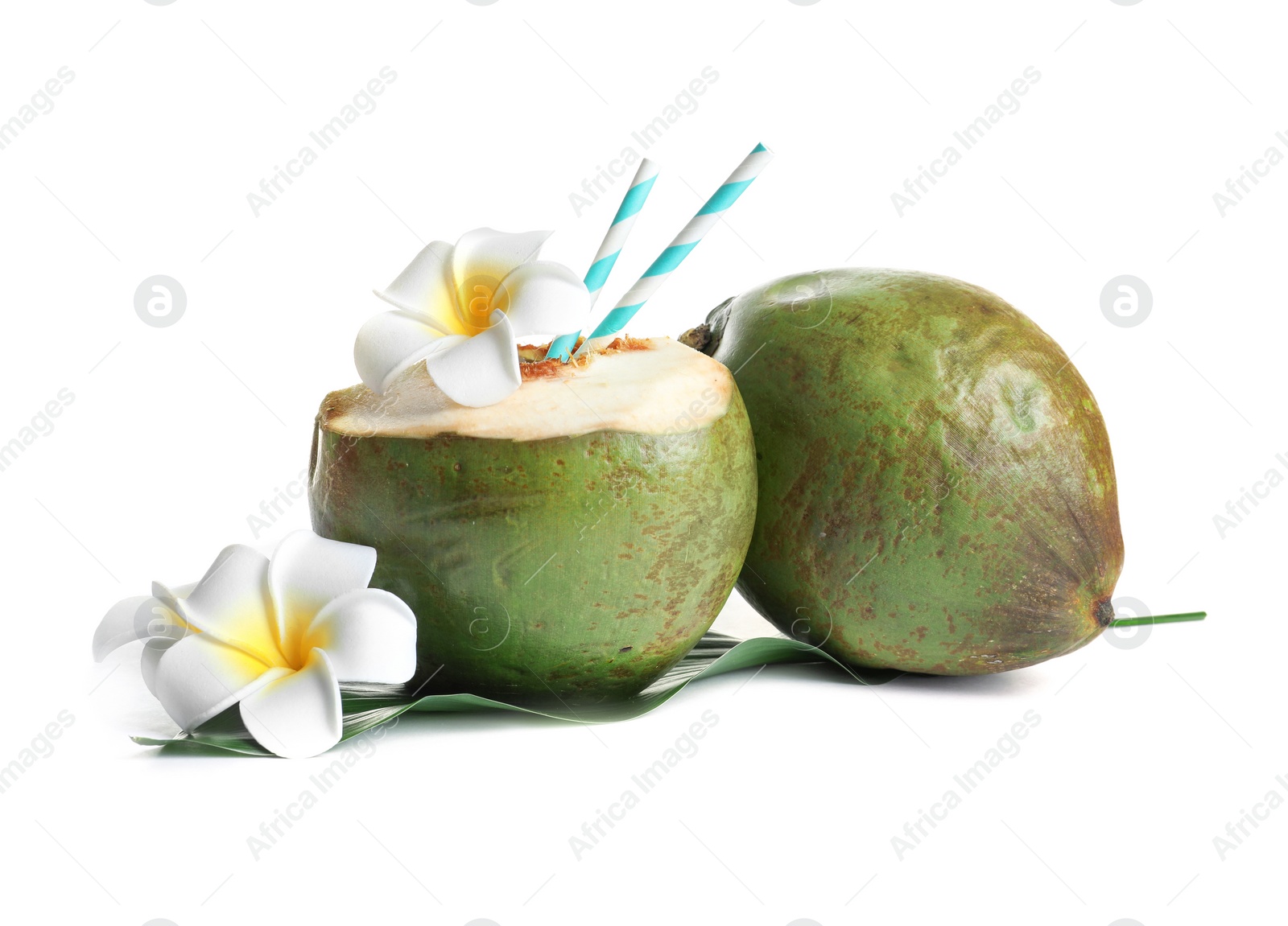 Photo of Fresh green coconuts with drinking straws and flowers on white background