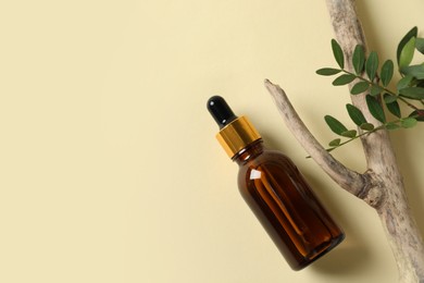 Bottle of cosmetic oil, branch and leaves on beige background, flat lay. Space for text