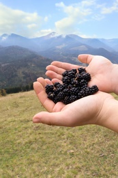 Photo of Woman holding many fresh ripe blackberries outdoors, closeup