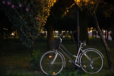 Photo of Bicycle with basket parked near beautiful tree in evening