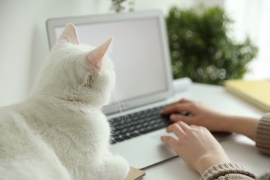 Photo of Woman working while her cat relaxing near laptop on table, closeup