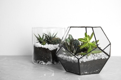 Glass florariums with different succulents on table against white background, space for text