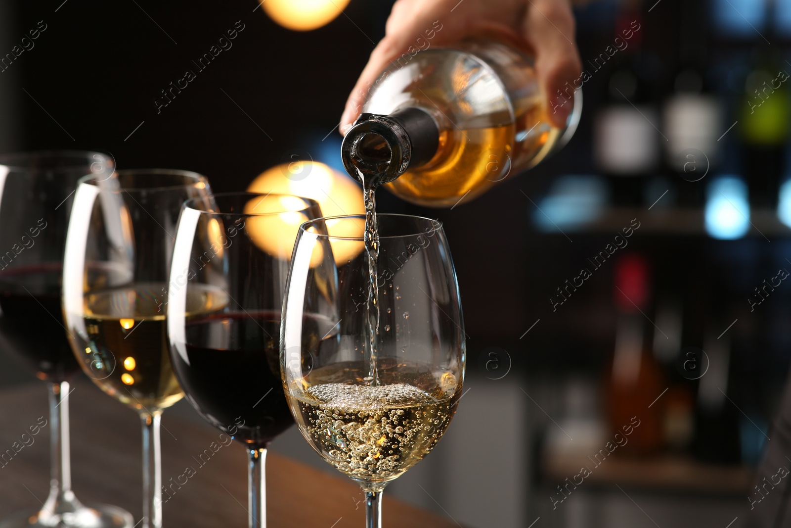 Photo of Bartender preparing wine tasting set indoors, closeup