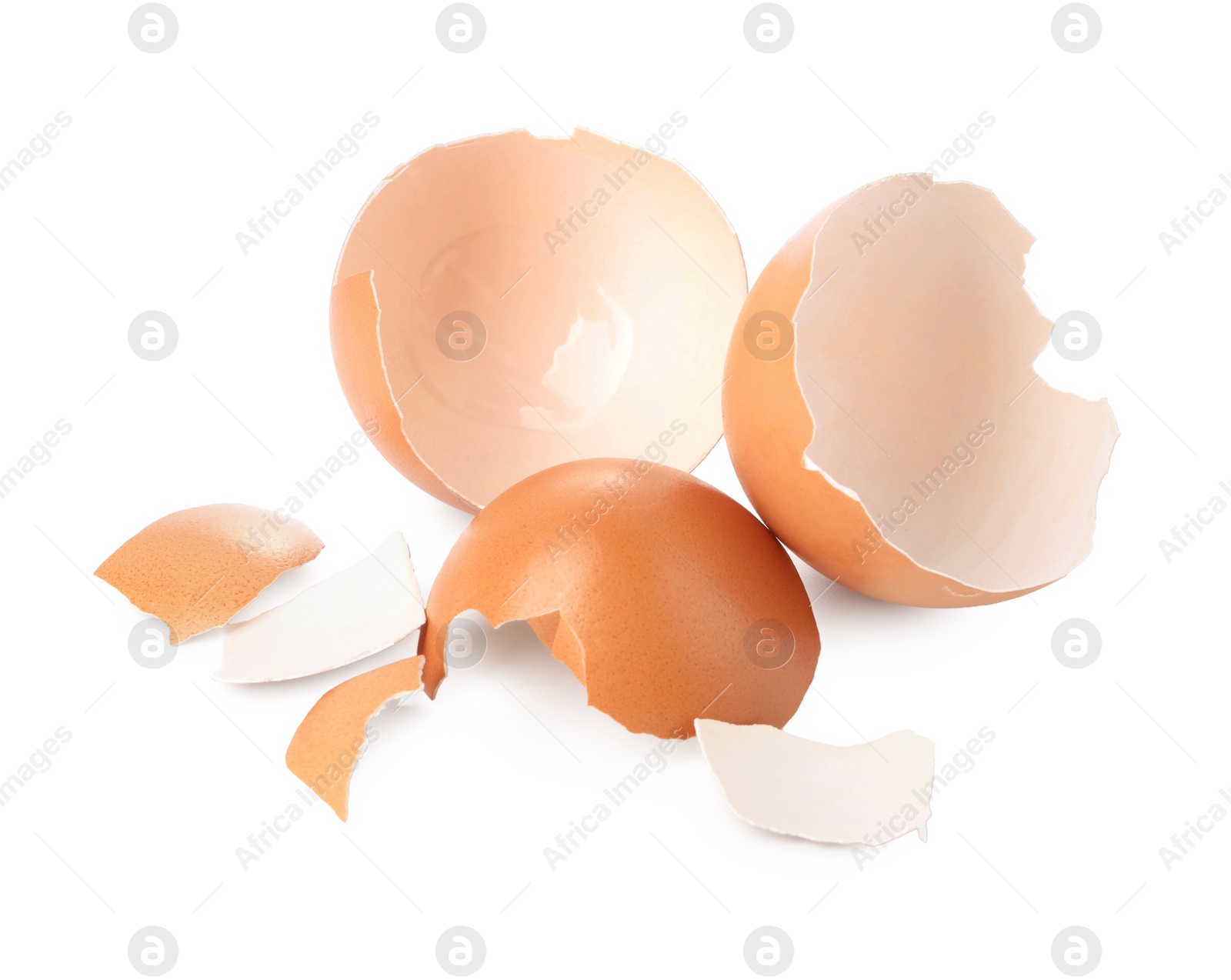 Photo of Shells of chicken egg isolated on white