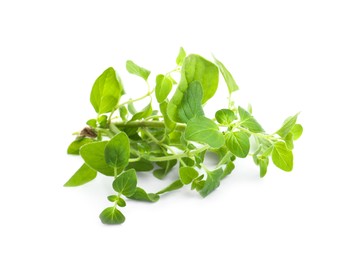 Aromatic fresh basil leaves on white background