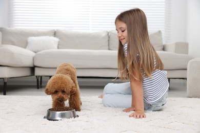 Little child feeding cute puppy on carpet at home. Lovely pet